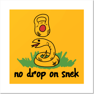 No Drop on Snek Posters and Art